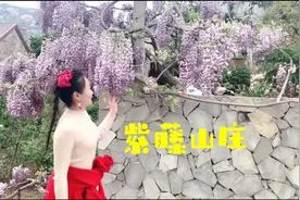 临沂费县紫藤山庄的紫藤花都开好了，等你来视频封面