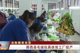 十堰：毛绒玩具扶贫工厂近日在郧西县景阳乡正式开工生产视频封面