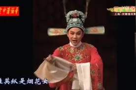 徐标新和陈飞演出的（情探）全剧视频封面