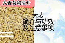 大麦 简介与功效 及注意事项 #食物简介#健康饮食 谢谢您的小红心视频封面