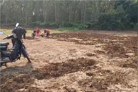 农村孩子的乐趣，跟着妈妈去田里干活，几个小屁孩去捡螺来玩视频封面