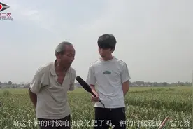 洋蒜在种植时应注意哪些事项，看农民大叔的妙招，不外传的小经验视频封面