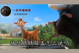 《脑筋急转弯》一起说说看吧，墙壁眼睛和膝盖，用英语怎么说呢？视频封面