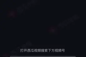 (杨三姐告状)中的本人杨三娥视频封面