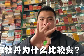 333牡丹为什么比普通牡丹贵而且量更少，听听便利店老板的说法