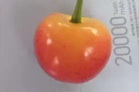 教你怎么鉴别真正的黄蜜大樱桃，樱桃当中最甜的是黄蜜樱桃哦视频封面
