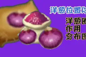 创造与魔法星川解说:洋葱位置以及（洋葱圈，作用，分布图）视频封面