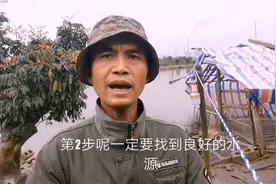 想养殖鸭，要找到适合的场地，如何搭建鸭棚视频封面