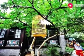 马未都讲述北京四合院，那些民间传说、那些神秘故事……视频封面