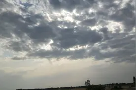 看看今年麦子收成怎么样 金坷垃 是什么化肥 机器将地效果怎么样