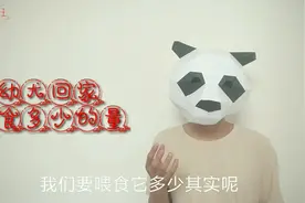 新抱回家的幼犬，要喂多少狗粮？经验告诉你科学喂食视频封面