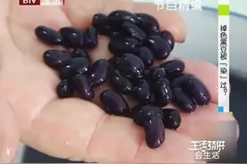 黑豆掉色是不是被染过？这究竟还能吃吗，我们一起去瞧瞧看视频封面