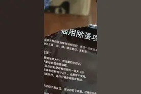 挑战给猫咪带除蚤项圈大成功！！！视频封面
