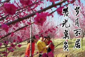 花开似海，美女如画，孝昌邹岗千亩梅园引武汉及周边游客纷至沓来视频封面