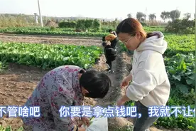 二姑姐又来了，三番五次来娘家拿东西，这次弟媳放话了：拿钱不让视频封面