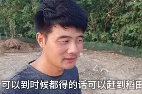 450块钱的化粪池一次没用就报废，又要花钱买新的不知能用多久视频封面