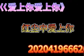 巜爱上你爱上你》红尘中遇见你视频封面