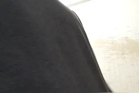 二个多月呆在家里，兔子怀孕啦！开个玩笑。