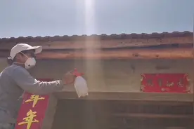 新建的房子，房梁被虫打的都是洞，怎么办？看看怎么防治！视频封面