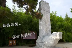 出去旅游，经常见到这种碑下龟，到底有什么讲究，今天知道了视频封面