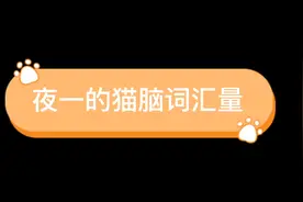 猫咪能听懂哪些话视频封面