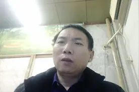 担保责任的分类
