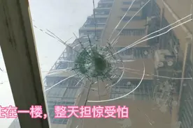 高层的一楼带院，高空坠物是常事，阳光房玻璃经常碎，买了后悔视频封面