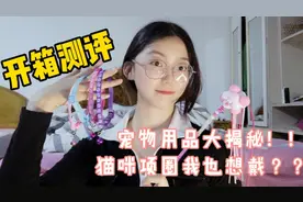 开箱宠物用品 | 猫咪项圈我可以拥有嘛？？！？少女心满满！！！视频封面