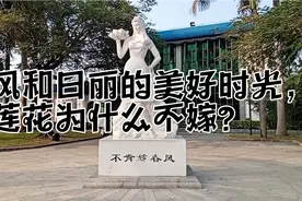 当年不肯嫁春风，无端却被秋风误……视频封面