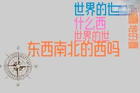 山东大叔对话电话客服，山东方言太好玩了，哈哈