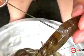 去虾线快速简单的方法，即干净又不会断头，2秒处理一个视频封面