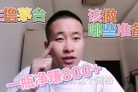 赚快钱，笨方法也许是最快的方法，某东生抢茅台步骤总结，收藏！视频封面