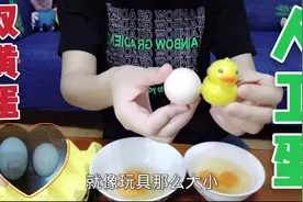 小姐姐拼多多买鸡蛋单枚不到4毛，双黄蛋几率太大，是人工蛋吗？视频封面