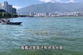 小伙来云南大理，第一次见到“海”，大理洱海到底算不算海呢？视频封面