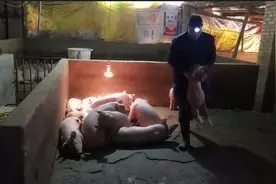冬春季节交叉容易感染腹泻病，庆大霉素兑青霉素治疗分享给大家。