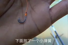 鱼钩加了一个小弹簧，钓鲤鱼真过瘾一尾又一尾视频封面