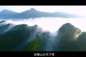 武隆平桥镇2020全国农业产业强镇视频封面