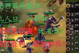 云顶之弈全网羁绊最多 九人口 八种羁绊 极致的快乐视频封面