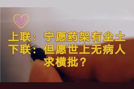 上联：宁愿药架有尘土，下联：但愿世上无病人，向全网征横批视频封面