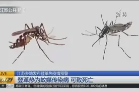江苏多地发布登革热疫情预警，登革热为蚊媒传染病，可致死亡！视频封面