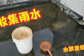 楼顶种菜  小伙这样收集雨水 以便晴天浇菜 经济 方便 快捷视频封面