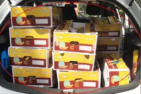 农村小伙开水果店，首次微信接龙，竟然卖了满满一车的哈密瓜！视频封面