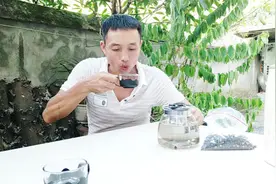 农村大叔摘地稔果晒干了泡茶，这种茶特别香，经常喝有养生的效果