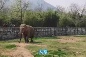 西安秦岭野生动物园对游客免费开放啦！视频封面