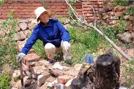 刘奶奶今天要修围墙，手拿铁锹，看着像个干技术活的！视频封面