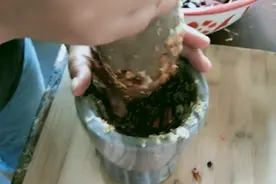 梅子做手工糊辣椒，色香味俱全，超级下饭，跟着做，方法很简单！视频封面
