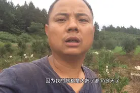 三十多天的鹅易得脚肿，脑浆炎病，坤哥教你一招就搞定视频封面
