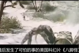 一桶化学废料污染了河流，导致所有蜘蛛开始变异视频封面