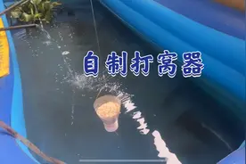 手抛窝打不准？今天教你0成本制作打窝器！视频封面