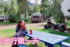 国外高速公路两旁绵绵无尽头的栅栏，你知道是为什么吗？人文关怀视频封面